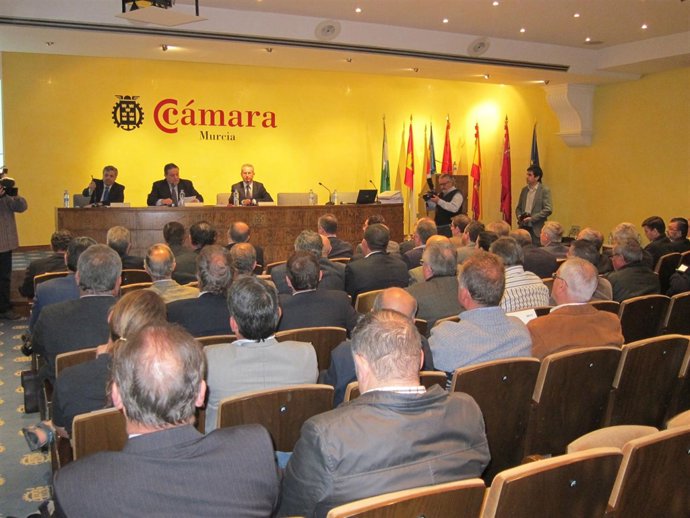 Consejo del Agua de la Demarcación Hidrográfica del Segura