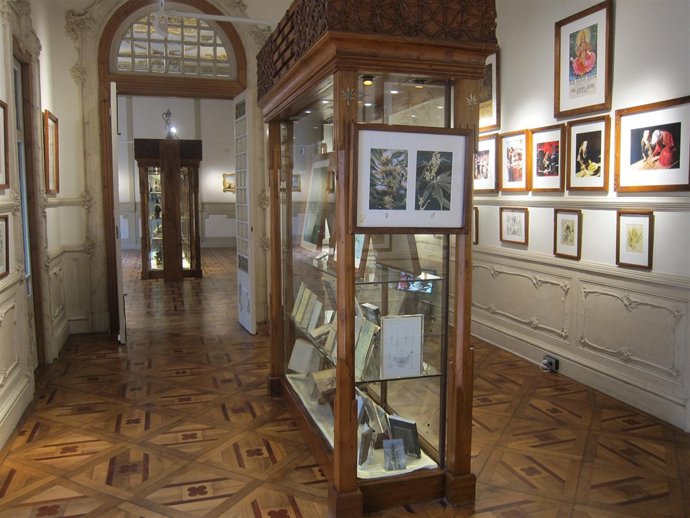 Hemp Museum Barcelona