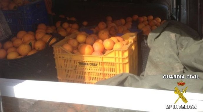 Naranjas sustraídas en Carcaixent