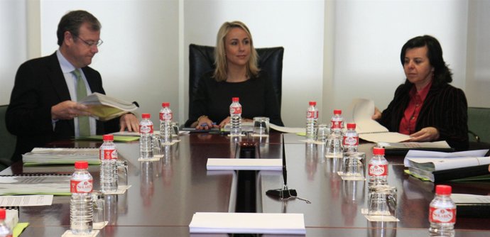 Consejeros en la comisión sobre Picos de Europa