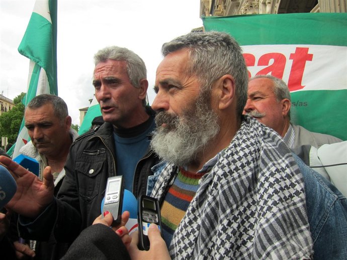 EL parlamentario andaluz de IU, Juan Marnuel Sánchez Gordillo