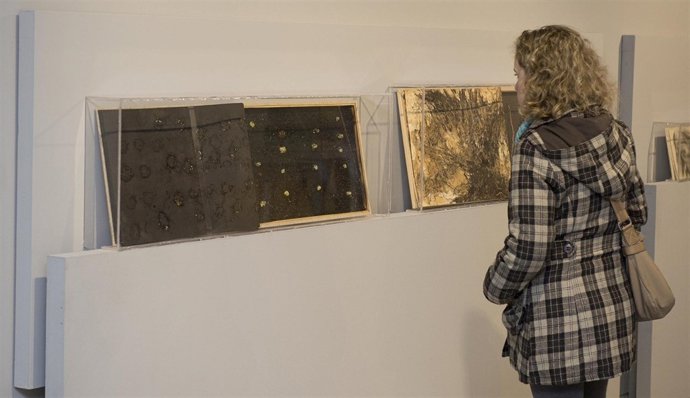 Exposición en el MEH