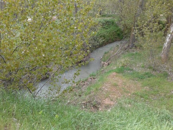 Inmediaciones del Río Moscas