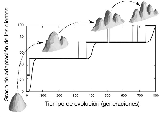 Investigadors simulan por primera vez en 3D la selección natural de organismos