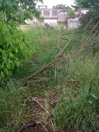 La Policía no necesita orden judicial para buscar a Marta en la finca señalada por Carcaño