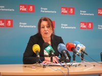 El PSdeG ve las listas de espera "catastróficas, falsas y trampeadas" y dice que su reducción en consultas es "ficticia"