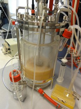 Investigación de Neiker