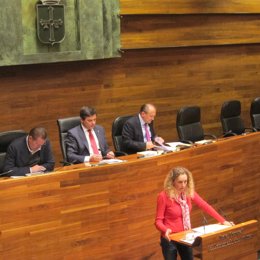 Pleno de la Junta General del Principado