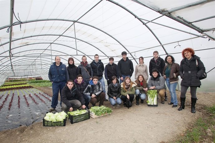 Estudiantes de la UPNA cultivan hortalizas para abastecer al comedor Paris 365.