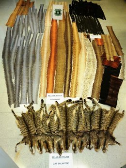 Pieles intervenidas en Barcelona por Agentes Rurales