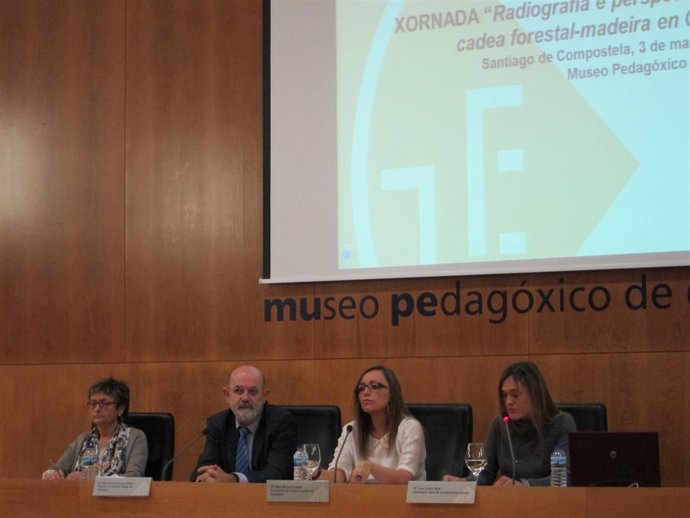 La conselleira de Facenda, Elena Muñoz, en un acto sobre la madera