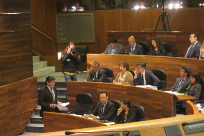 Javier Fernández en el pleno