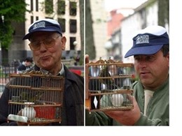 Concurso Pájaros Cantores de Bilbao