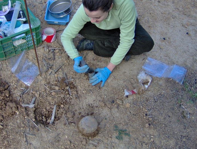 Una investigadora de la UJA recoge muestras del suelo.