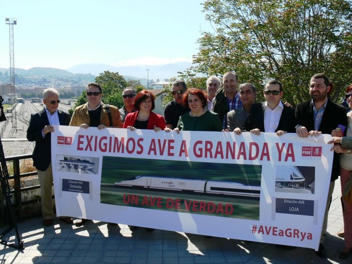 NP. PSOE Movilización AVE 20130506