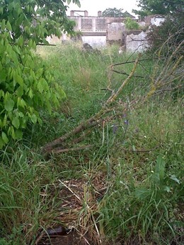 Finca donde según Carcaño se deshicieron del cuerpo de Marta del Castillo