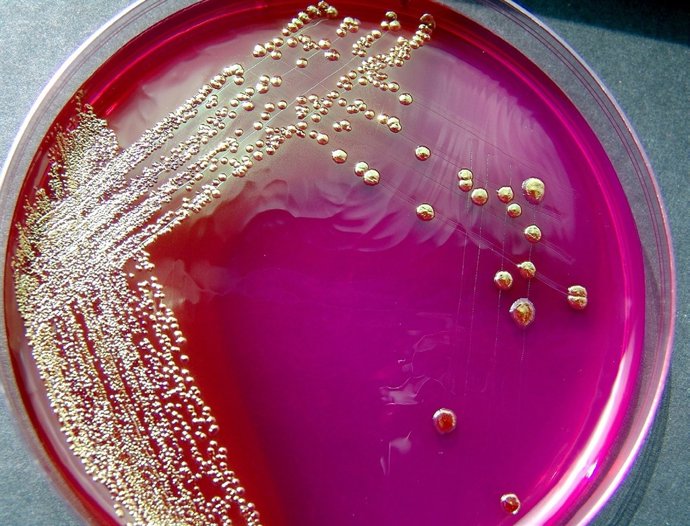 Investigación de la UHU. 