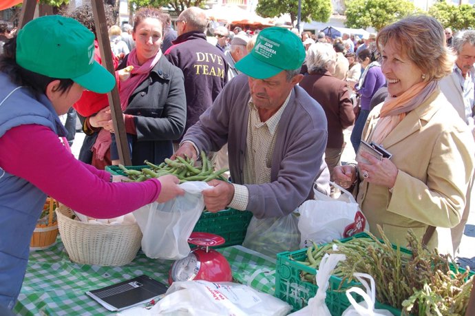 Día de la haba agricultura producto verdura agro campo