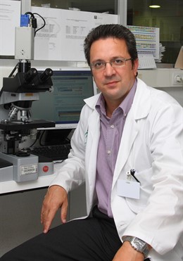 El doctor José Antonio Pérez Simón, coordinador nacional de los trabajos