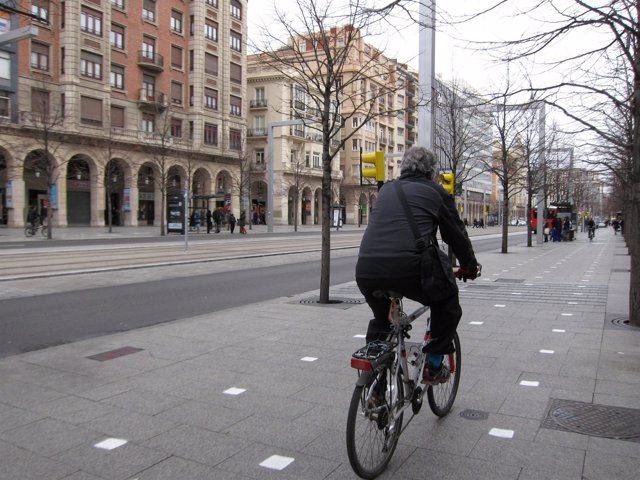 Un ciclista en el carril bici del Paseo de la Independencia de Zaragoza