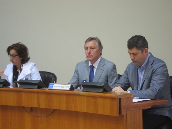 El director xeral de Relacións Parlamentarias en comisión