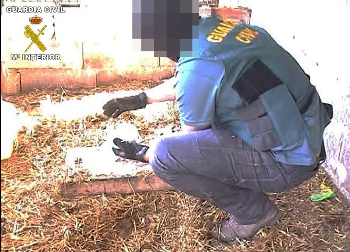 Droga incautada en Ibiza 