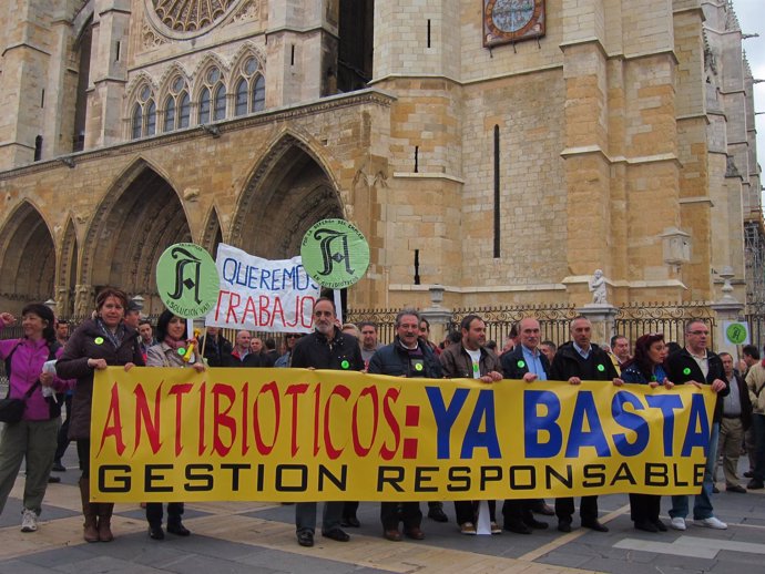 Trabajadores de antibióticos concentrados en la plaza de la Catedral de León
