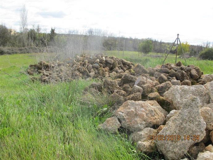 Restos recuperados por la Guardia Civil del Conjunto Histórico de Niebla. 