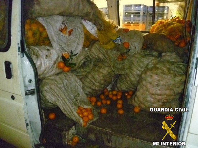 Naranjas intervenidas por la Guardia Civil