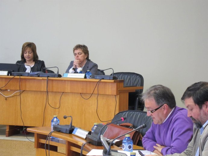 Ana María Díaz en comisión Parlamentaria