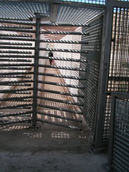 Frontera Biutz de Ceuta