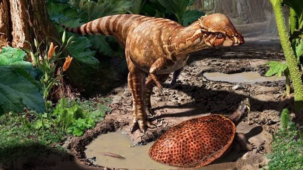Nueva especie de dinosaurio herbívoro del tamaño de un perro