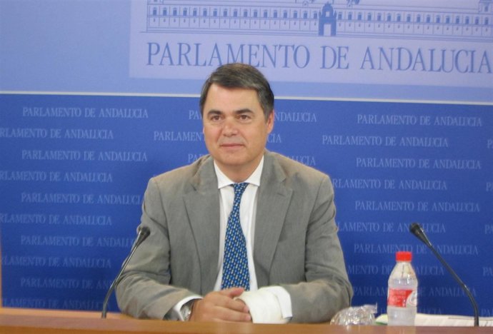 El portavoz parlamentario del PP-A, Carlos Rojas, hoy en el Parlamento