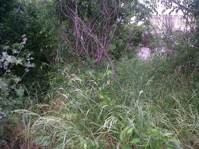 Finca que Miguel Carcaño señala como lugar de ocultación de Marta del Castillo