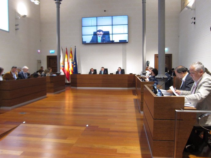 Pleno en la Diputación de Zaragoza (DPZ)