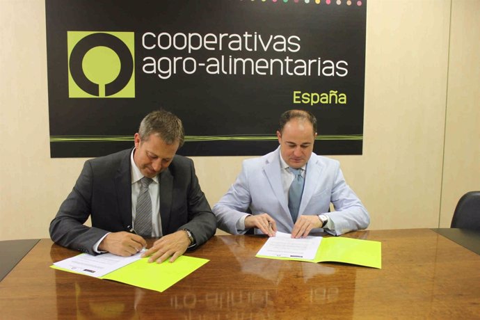 FEACEM Y COOPERATIVAS AGRO ALIMENTARIAS 