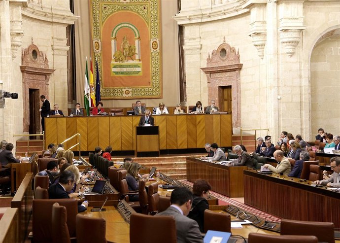 José Chamizo, ante el Pleno