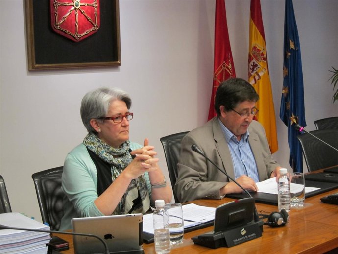 La consejera Goicoechea en comisión parlamentaria