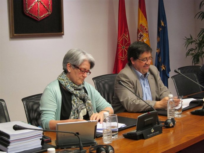 La consejera Lourdes Goicoechea.