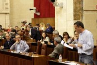 IULV-CA compara al PP-A "con la oposición de Capriles" y pide que cesen sus "mentiras e insultos" a Andalucía