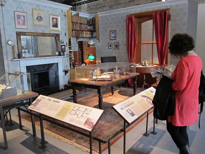 Una de las reproducciones de la exposición 'Darwin' en el MMB.