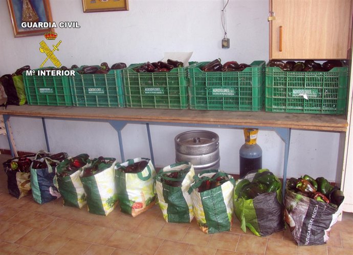 Guardia Civil detiene a cinco personas por la sustracción de productos del campo