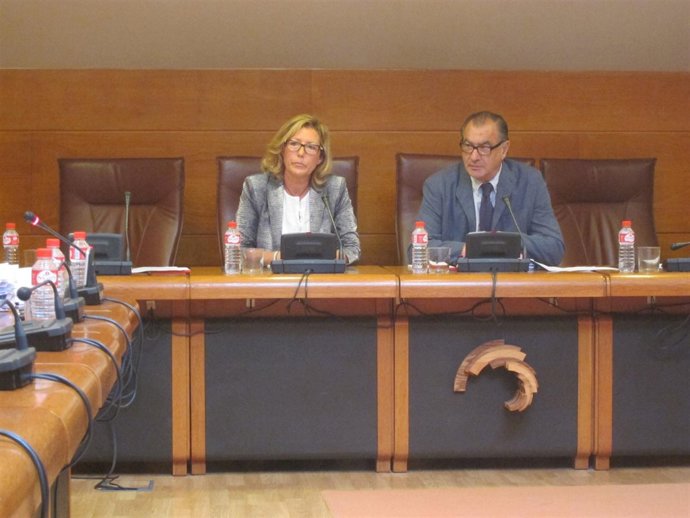 Ana Abarca en la comisión de Cantur 