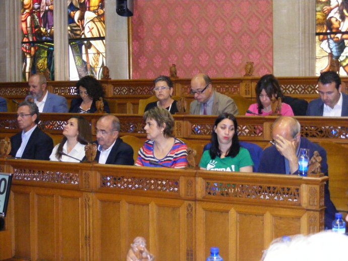 Pleno del Consell de Mallorca