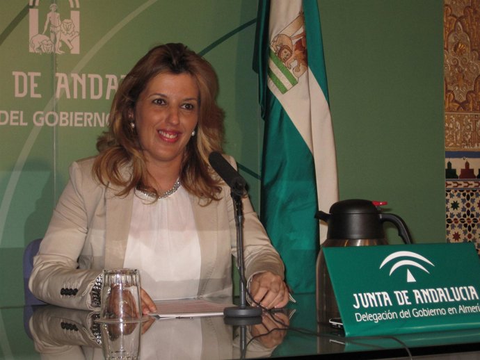 Ferrer hace balance del primer año de legislatura del Gobierno andaluz