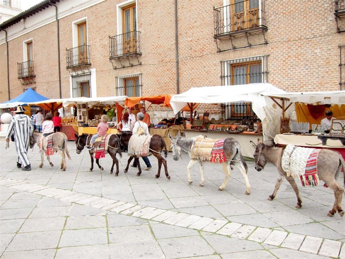 Imagen Del Mercado Castellano De Valladolid
