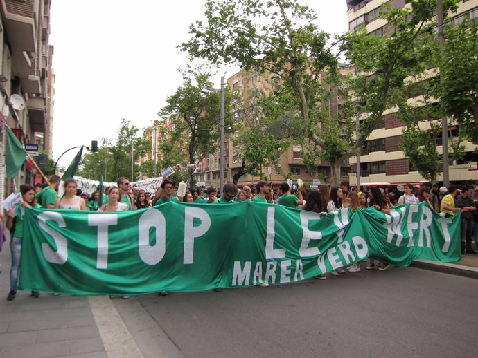 La manifestación contra la 'ley Wert' ha sido "masiva" en Zaragoza