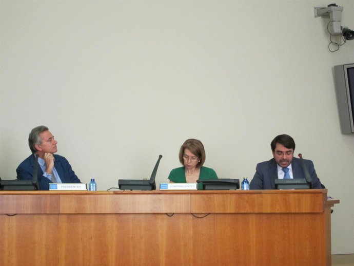 Encarnación Rivas en comisión en el Parlamento de Galicia