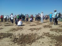 Jornaleros del SAT siembran frutas y hortalizas en Las Turquillas para garantizarse abastecimiento en verano
