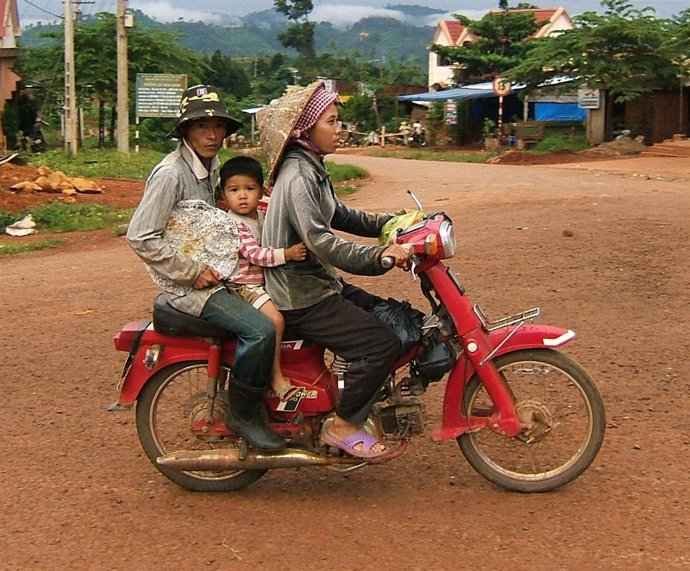 Familia de Vietnam